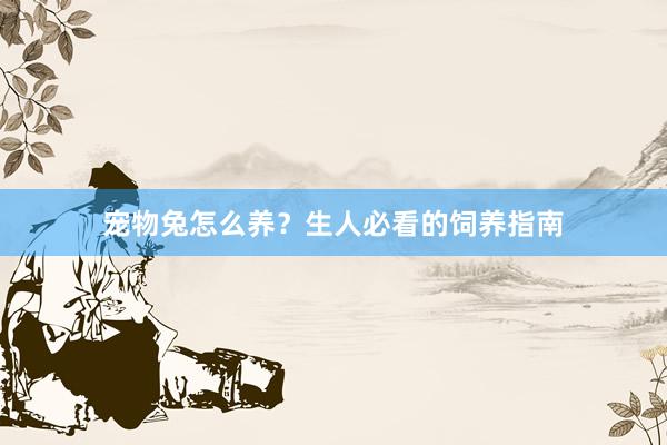 宠物兔怎么养？生人必看的饲养指南