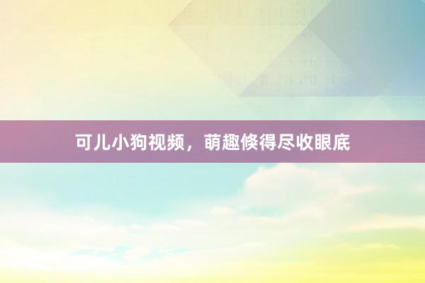 可儿小狗视频，萌趣倏得尽收眼底