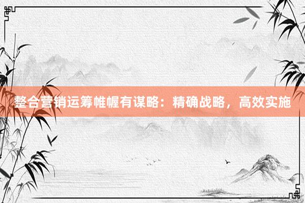 整合营销运筹帷幄有谋略：精确战略，高效实施